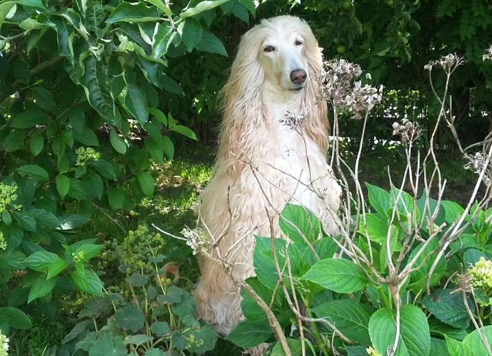 Und wieder hat uns einer verlassen